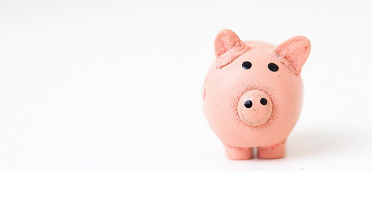 Annual Festival Spends